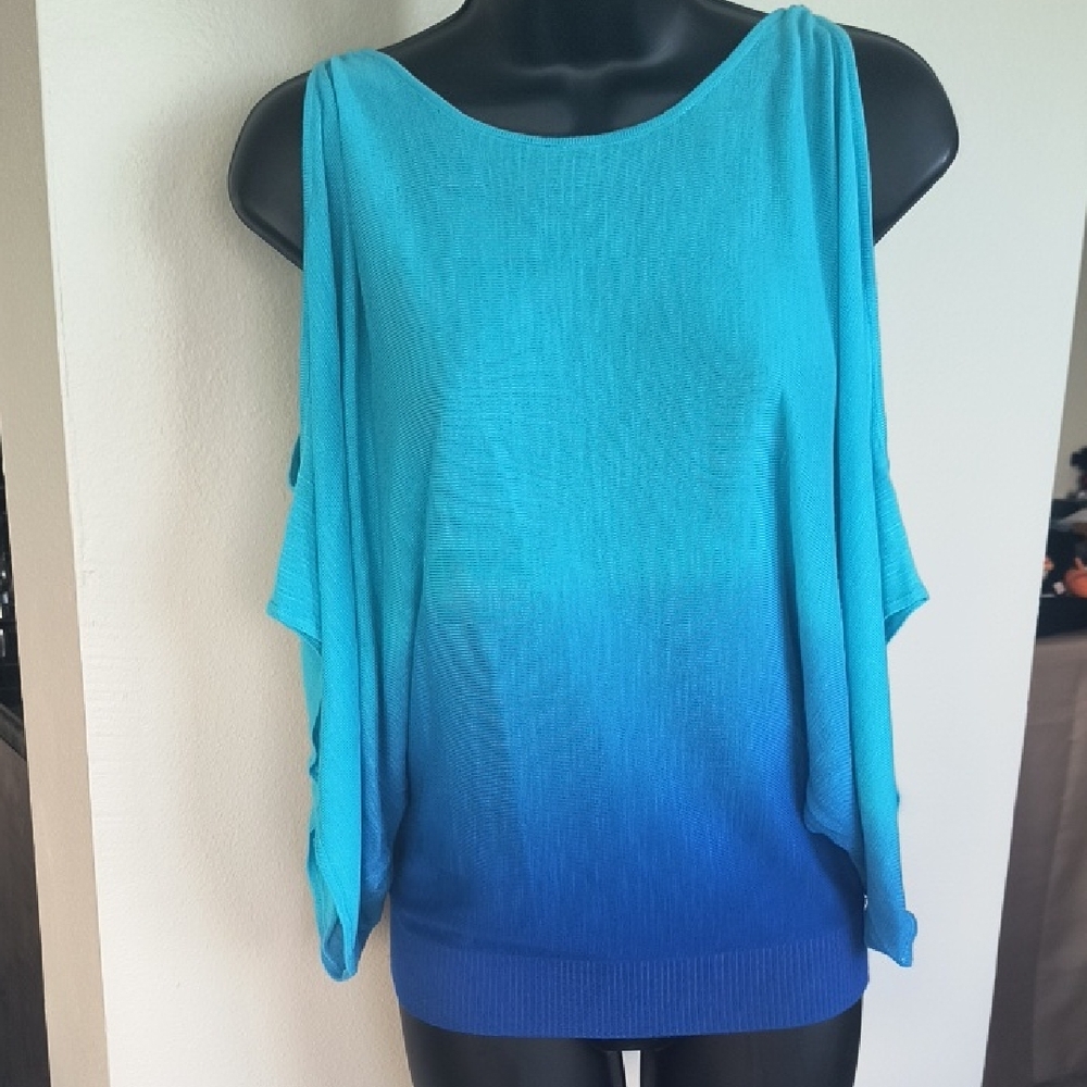 INC International Concepts Teal and Navy Women's Light Sweater